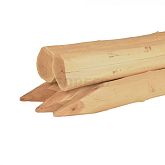 robinia