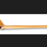 Bokkenpoot