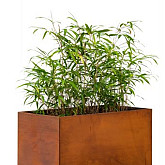 Bloembak Cortenstaal 60 x 120 x 60 cm