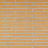 Geel Glad