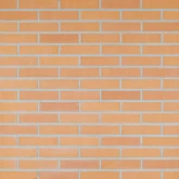 Leer Glad