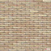 Steenstrip Anderlecht