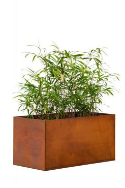 Bloembak Cortenstaal 60 x 120 x 60 cm