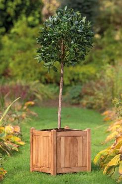 Bloembak Teak 45 x 45 x 47 cm - Lombok