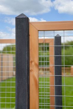 # Douglas betonijzertrellis,180 x 180 cm, met maas 7,5 x 7,5 cm, in raamwerk 4,5 x 7 cm, onbehandeld