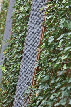 Gaaspaneel met maas 4,5 x 4,5 cm stekloos, 90 x 180 cm, verzinkte draad 5mm