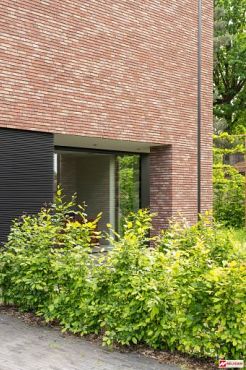 Passion | Klampsteen Kesselt WV 50