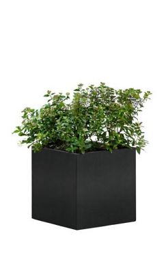 Bloembak Zwart gepoedercoat