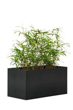 Bloembak, zwart gepoedercoat 60 x 120 x 60 cm