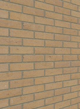 Naturel (DR11B) HV EF