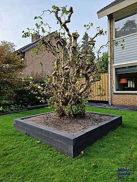 Linia palissade 10x10x60cm Antraciet