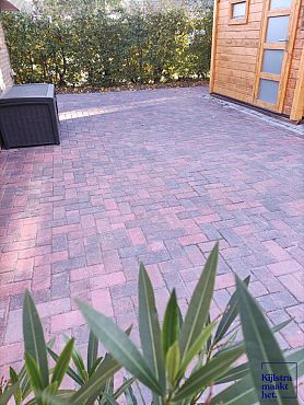 BSS 8cm Redlands komo