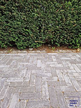 Trommel DF 6cm Brown