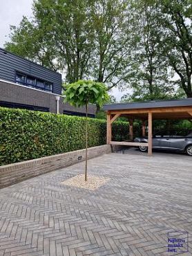 Patio DF XL 28x7x8 cm Sidney ( verpakt op ww pallet)