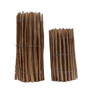 Hazelaarhek - 3-5 cm