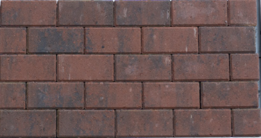 BSS 8 cm Browntown komo