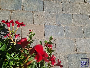 Trommel 20x30x6cm Beach