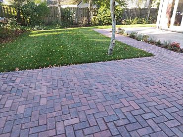 BSS 6cm Redlands