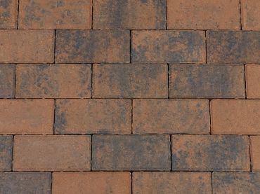 BSS 8 cm Browntown komo