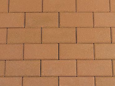 BSS 8cm gasselterbruin komo