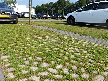 Keigrassteen 45x45x10 cm grijs - 6 stuks per laag