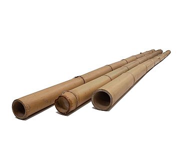Bamboe paal - gelakt