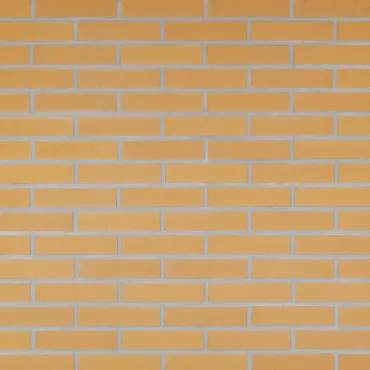 Gevelsteen WF Geel Glad
