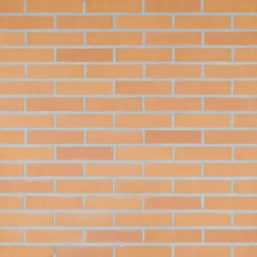 Gevelsteen WF Leer Glad