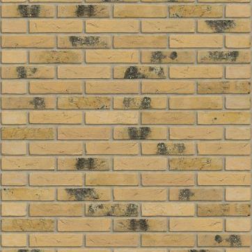 Fawn yellow flame HV EF