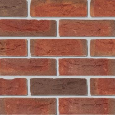 DF HV Baccara - Exclusief roodpaars