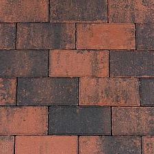BSS 6cm Redlands