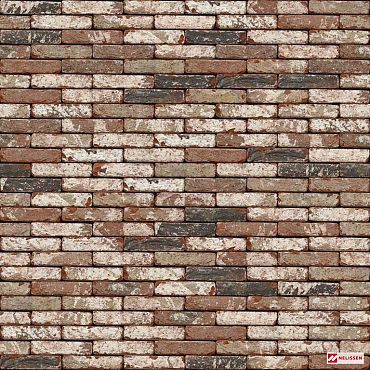 Hammered | Hades WV 50