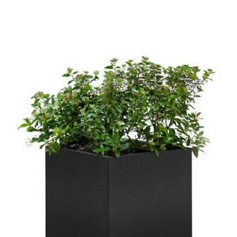 Bloembak, zwart gepoedercoat 50 x 50 x 50 cm