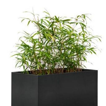 Bloembak, zwart gepoedercoat 60 x 120 x 60 cm