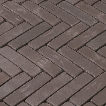 DF60 Flintstones Bruin