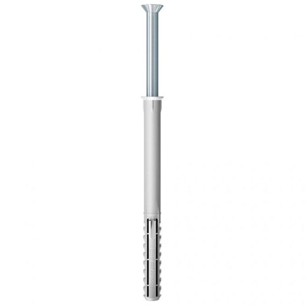 * Fischer Constructie/nagelplug SXRL 10x100mm  50st 522699TX