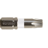 Bit - Torx