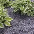 Big/Bag Canadian Slate 10-30mm violet - 1000kg