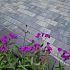 Patio BSS 6cm mini facet Komo Sidney