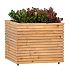 Bloembak Red Wood 60 x 80 x 60 cm op wieltjes