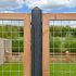 # Douglas betonijzertrellis, 90 x 180 cm, met maas 7,5 x 7,5 cm, in raamwerk 4,5 x 7 cm, onbehandeld