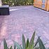 BSS 6cm Redlands