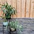 Splitblok 32x13x11 cm Light Grey 2.0 ( verpakt op ww pallet)