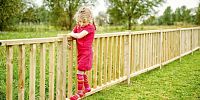 Decoratieve elementen 