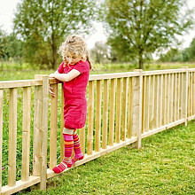 Decoratieve elementen 
