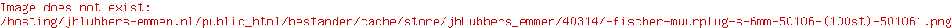 Plug S