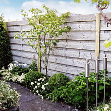 Tuinschermen en deuren - Vuren
